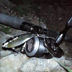 8月17日　一庫ダム釣行